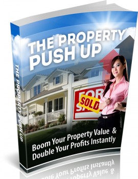 The Property Push Up - eBook