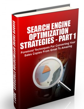 Search Engine Optimization Strategies 2015 Part 1 - eBook